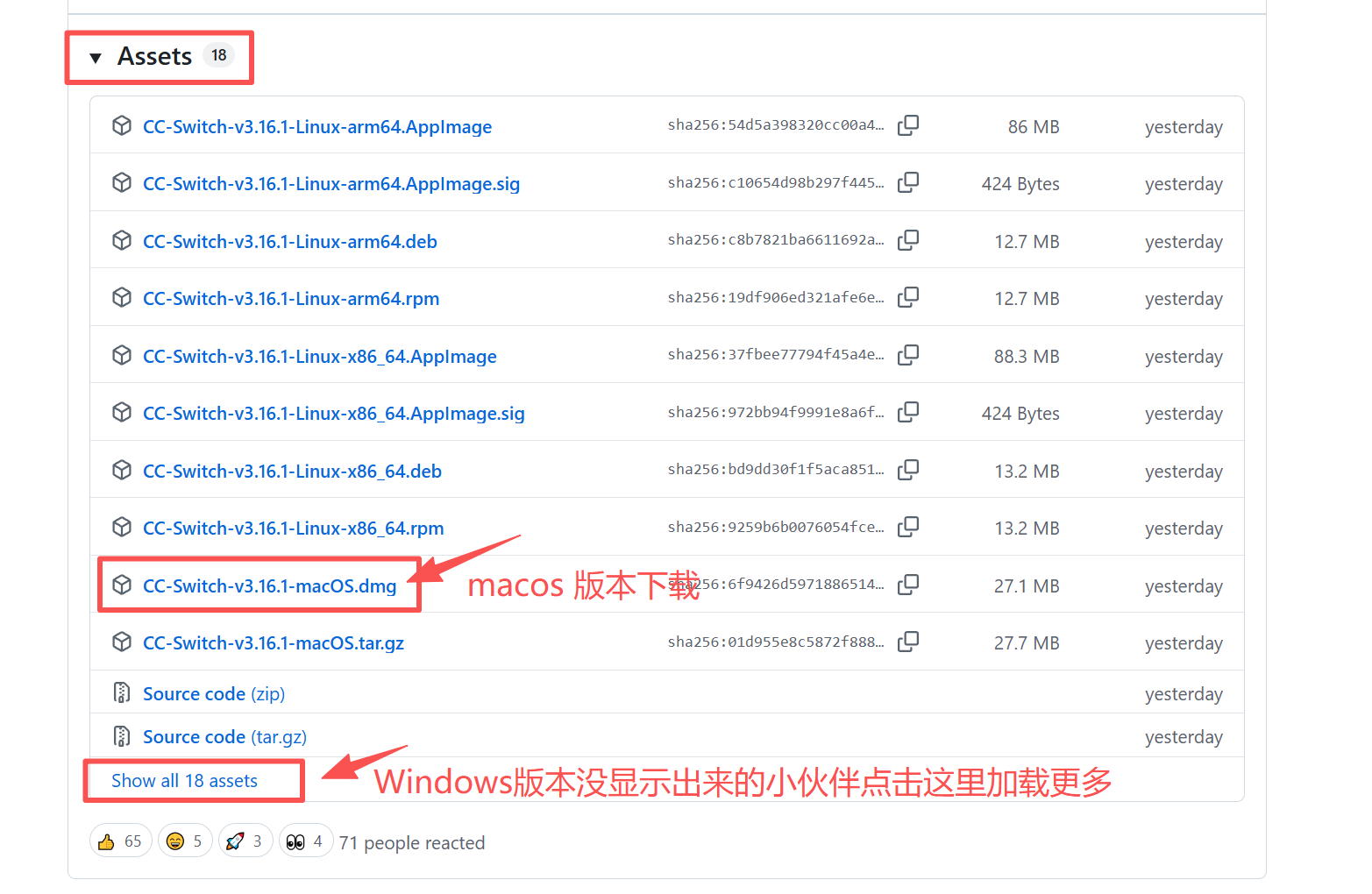 CC Switch 配置示例